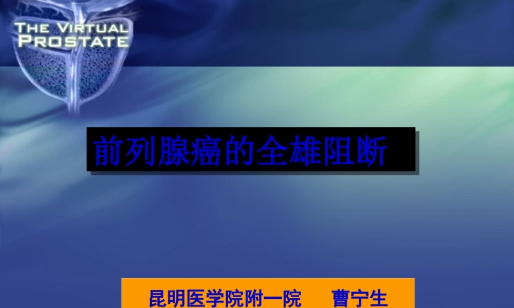 前列腺癌的全雄阻断(1).pptx