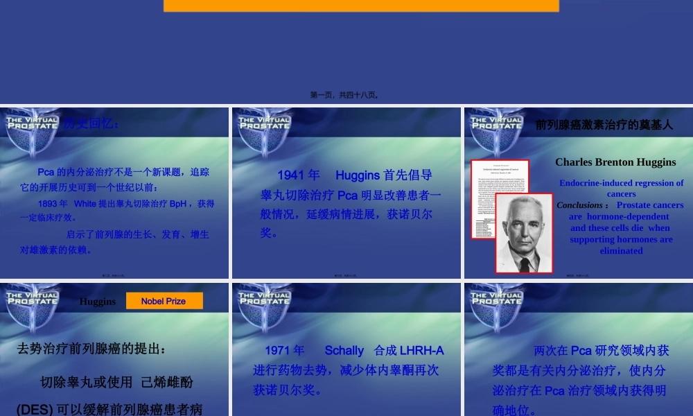 前列腺癌的全雄阻断(1).pptx