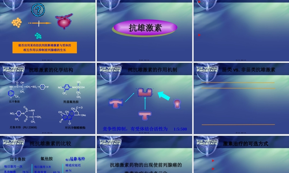 前列腺癌的全雄阻断(1).pptx