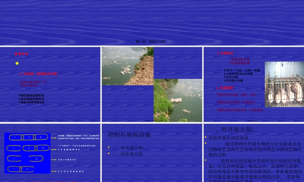 动物消毒和免疫(1).pptx