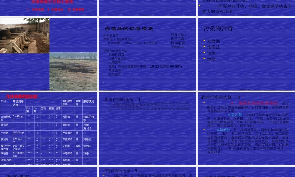 动物消毒和免疫(1).pptx
