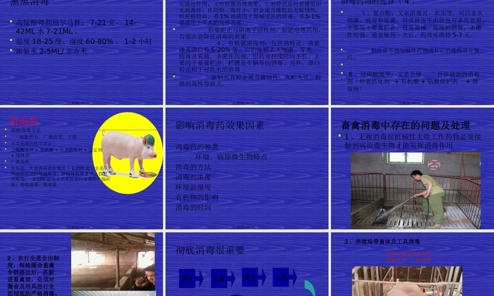 动物消毒和免疫(1).pptx