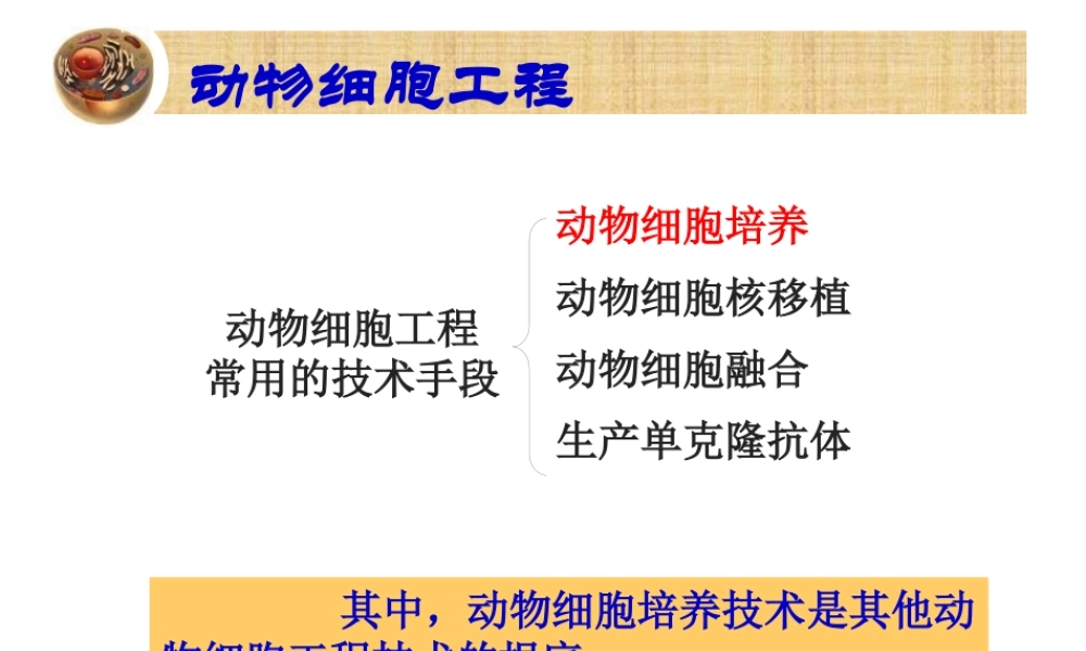 动物细胞培养和核移植技术-(2)(1).pptx