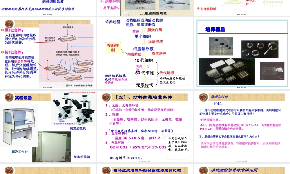 动物细胞培养和核移植技术-(2)(1).pptx