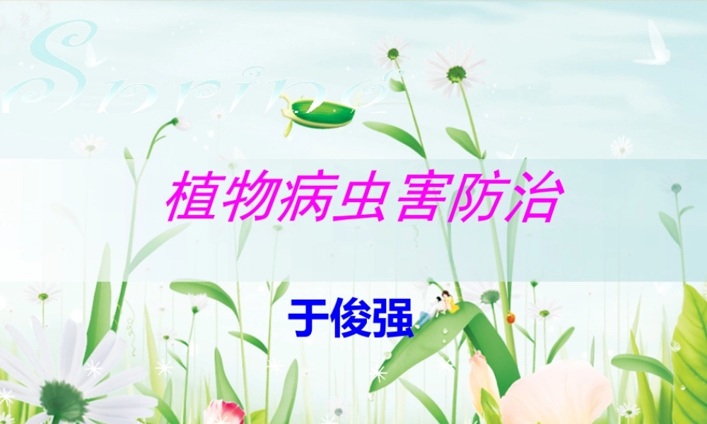 十字花科蔬菜病虫害剖析(1).pptx