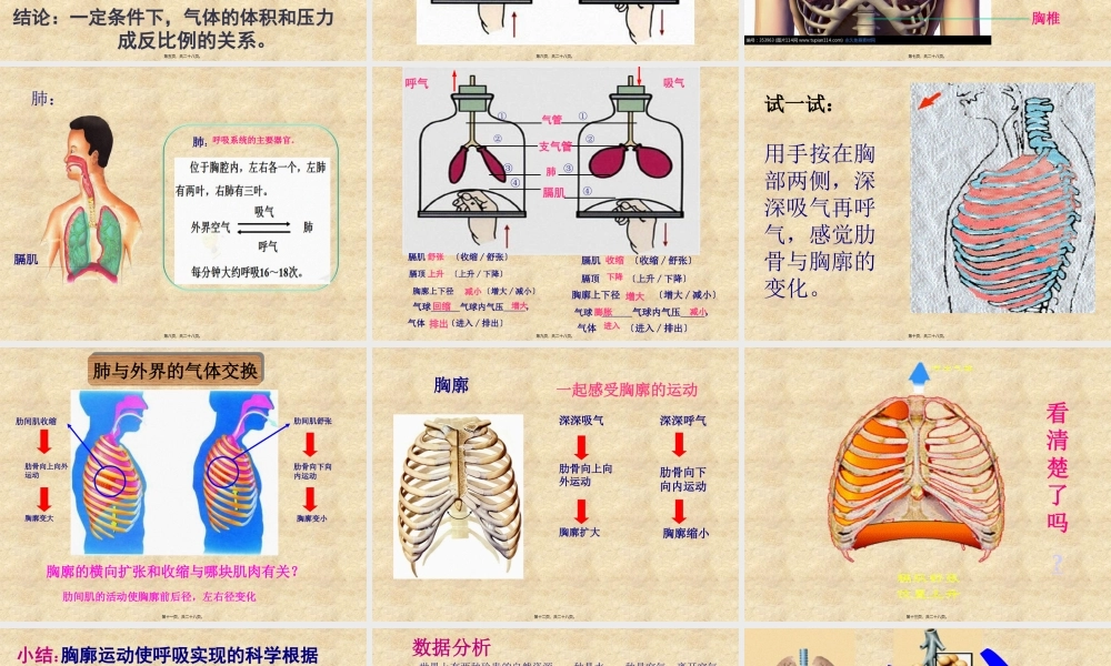 发生在肺内的气体交换ppt(1).pptx