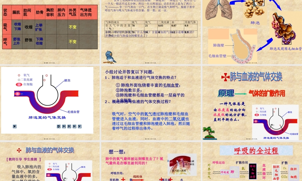 发生在肺内的气体交换ppt(1).pptx