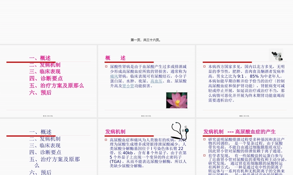 发病机制---高尿酸血症的产生-南昌大学第二附属医院(1).pptx