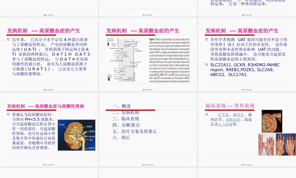发病机制---高尿酸血症的产生-南昌大学第二附属医院(1).pptx