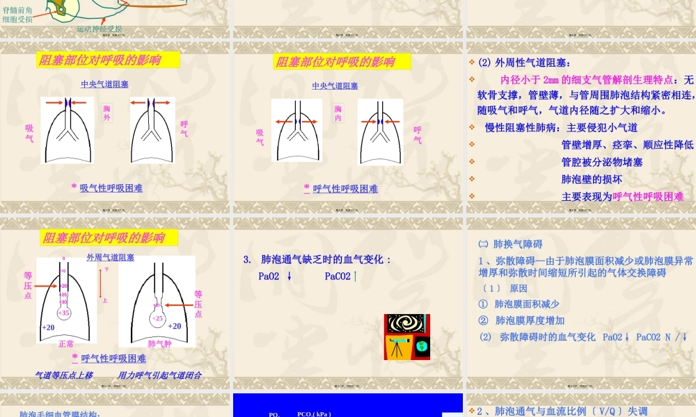 呼吸衰竭-respiratory-failure一、概述-定义：外呼吸(1).pptx