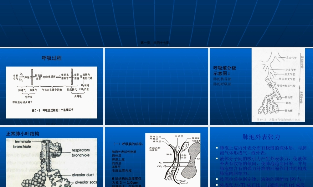 呼吸过程(精)(1).pptx