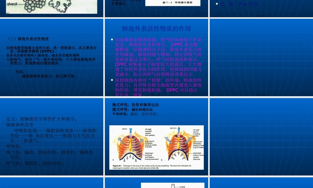呼吸过程(精)(1).pptx