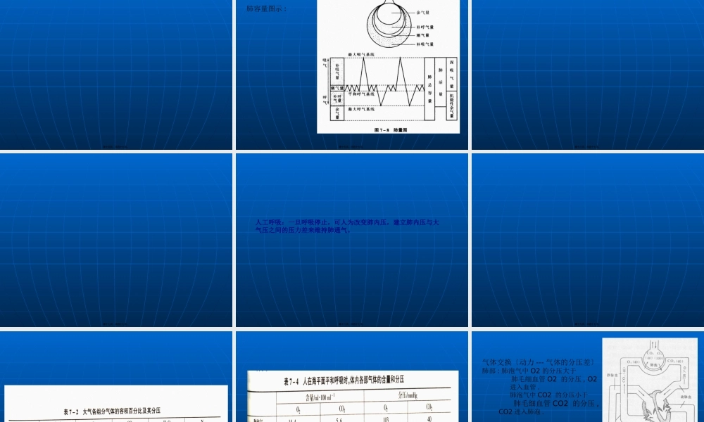 呼吸过程(精)(1).pptx
