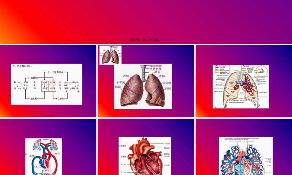 咯血的初步抢救(1).pptx