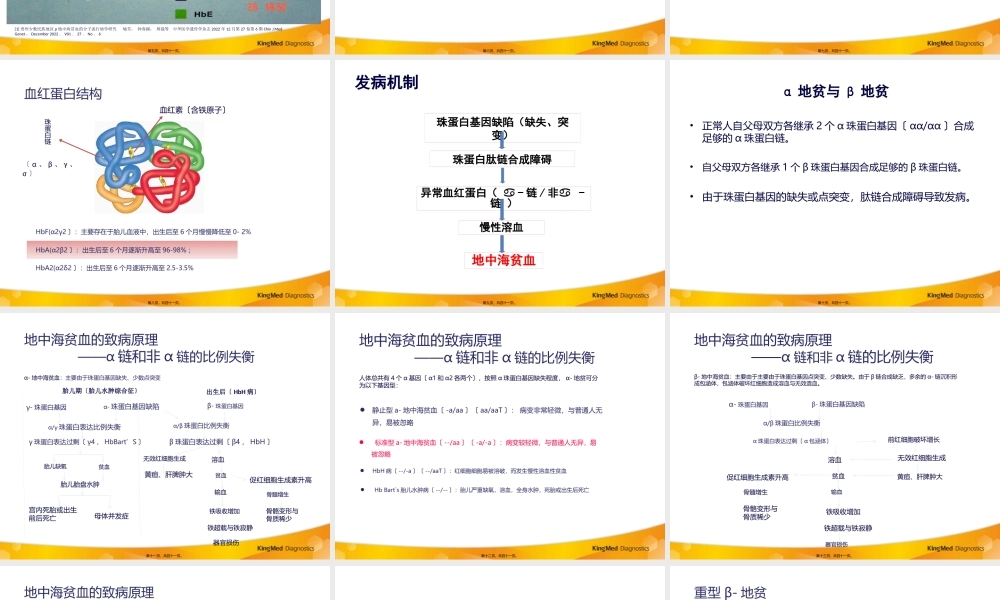 地中海贫血(改)(1).pptx