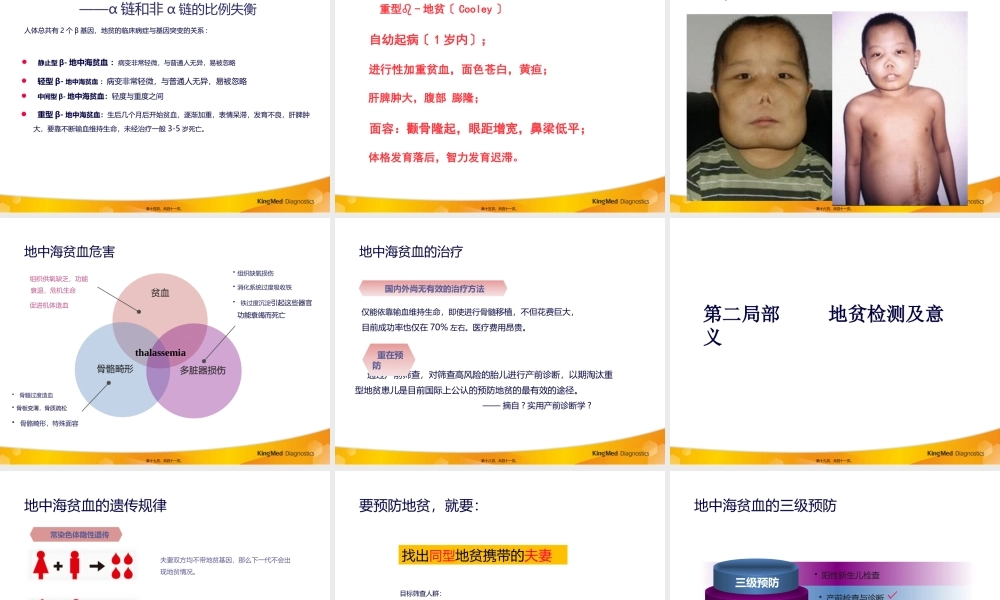 地中海贫血(改)(1).pptx