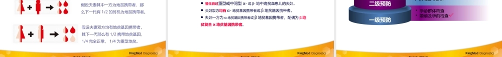 地中海贫血(改)(1).pptx