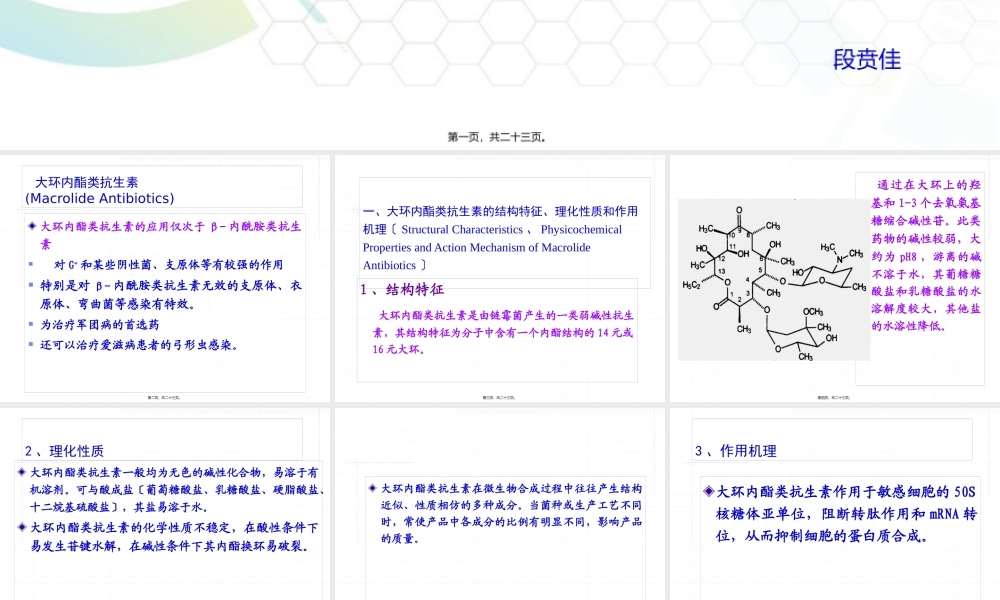 大环内酯类抗生素ppt(1).pptx