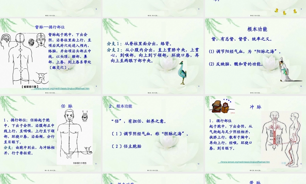 奇经八脉与经外奇穴(1).pptx