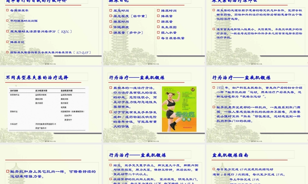 女性尿失禁讲座(1).pptx