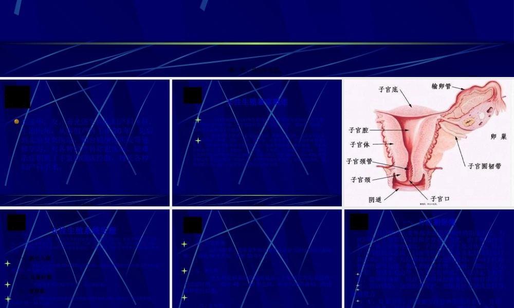 女性生殖系统炎症好发于哪些部位(1).pptx