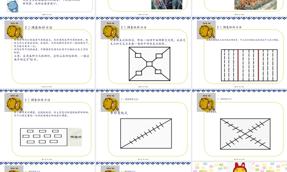 如何对植物病害进行田间调查(1).pptx