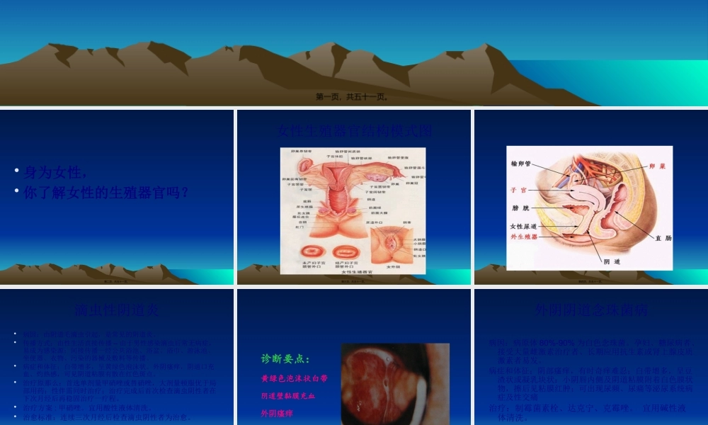 妇科常见病知识讲座(1).pptx