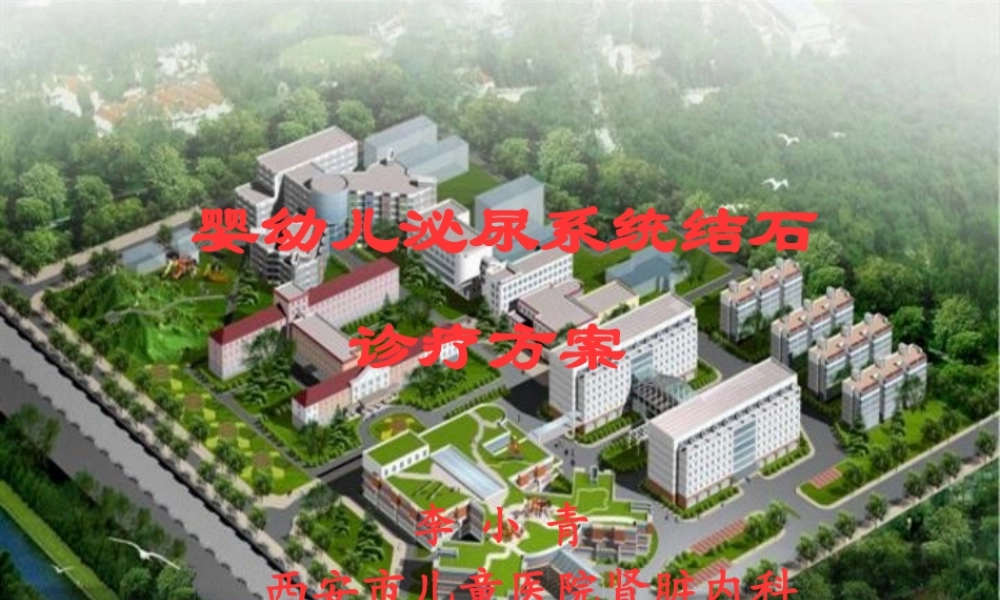 婴幼儿泌尿系统结石.(1).pptx