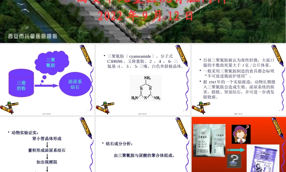 婴幼儿泌尿系统结石.(1).pptx