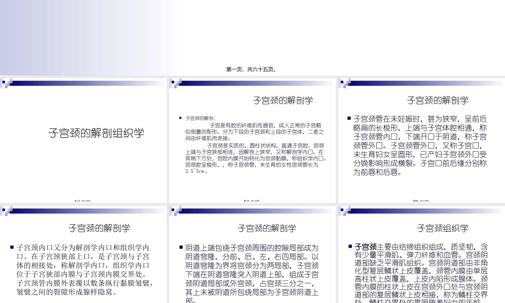 子宫颈病变的防治(1).pptx