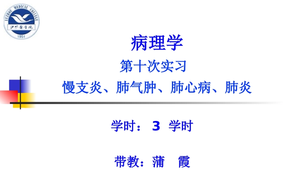 实习10-慢支炎、肺气肿、肺心病、肺炎(1).pptx