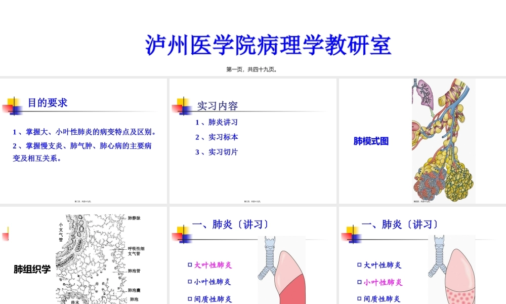 实习10-慢支炎、肺气肿、肺心病、肺炎(1).pptx