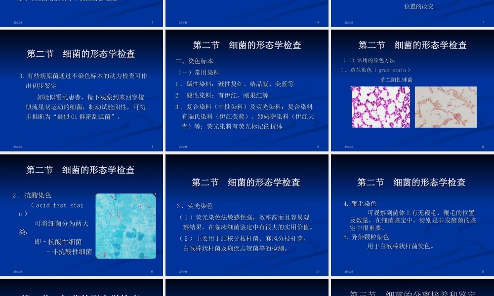 寄生虫3(1).ppt
