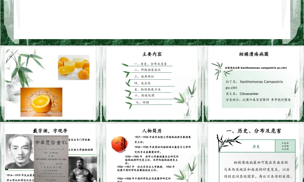 柑橘溃疡病菌(1).ppt