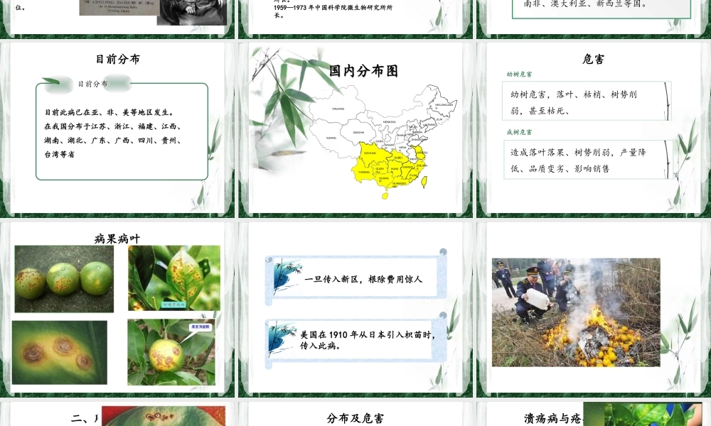 柑橘溃疡病菌(1).ppt
