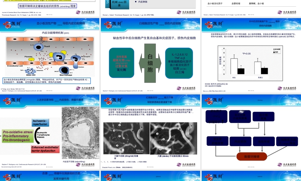 2022年医学专题—缺血性卒中及微循环(1).ppt