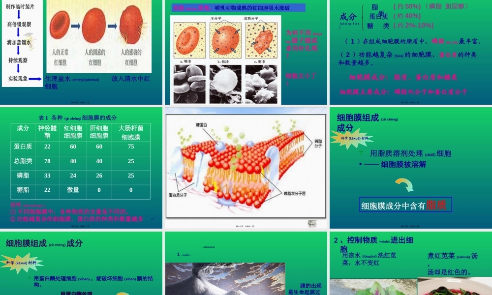 2022年医学专题—人教版必修一第3章第1节-系统的边界--细胞膜41张ppt---副本(1).ppt