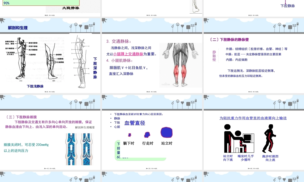 周围血管(1).pptx