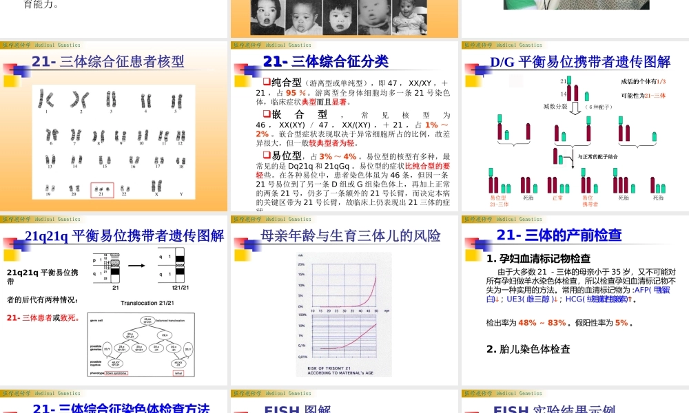 染色体病lsy(1).ppt