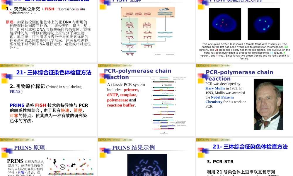 染色体病lsy(1).ppt