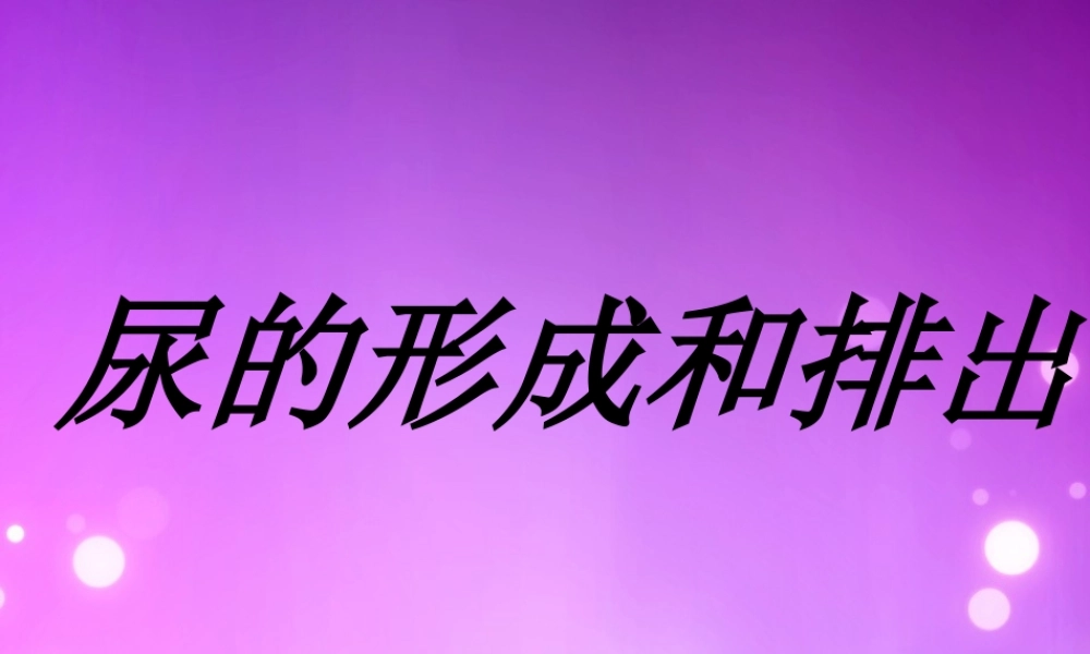 人体代谢废物的排出(非常好)(1).ppt