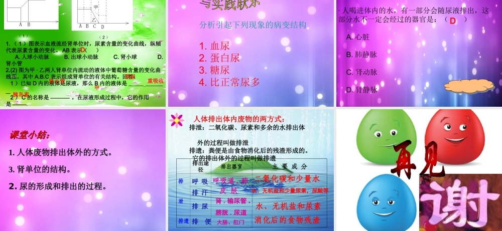 人体代谢废物的排出(非常好)(1).ppt