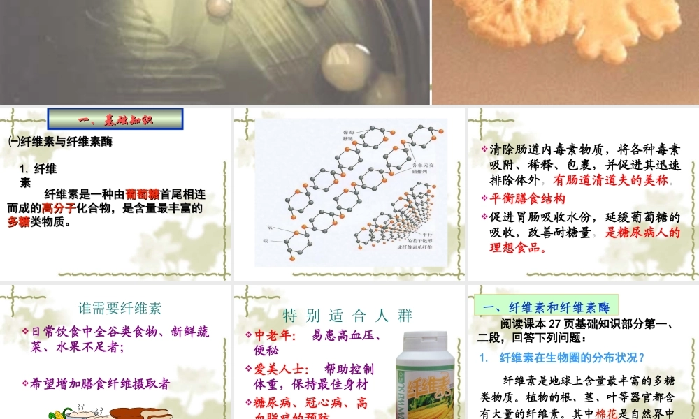 分解纤维素的细菌的分离..(1).ppt