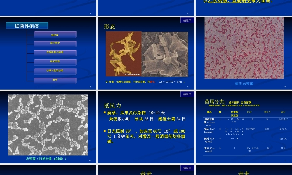 细菌痢疾药学版[精品](1).ppt