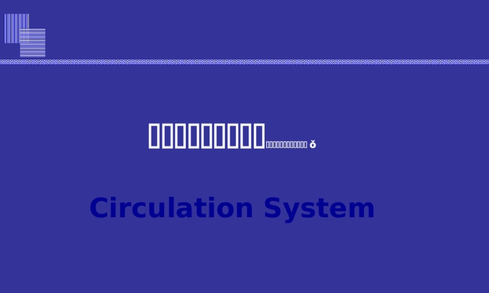 2022年医学专题—心脏以及循环系统的进化(1).ppt