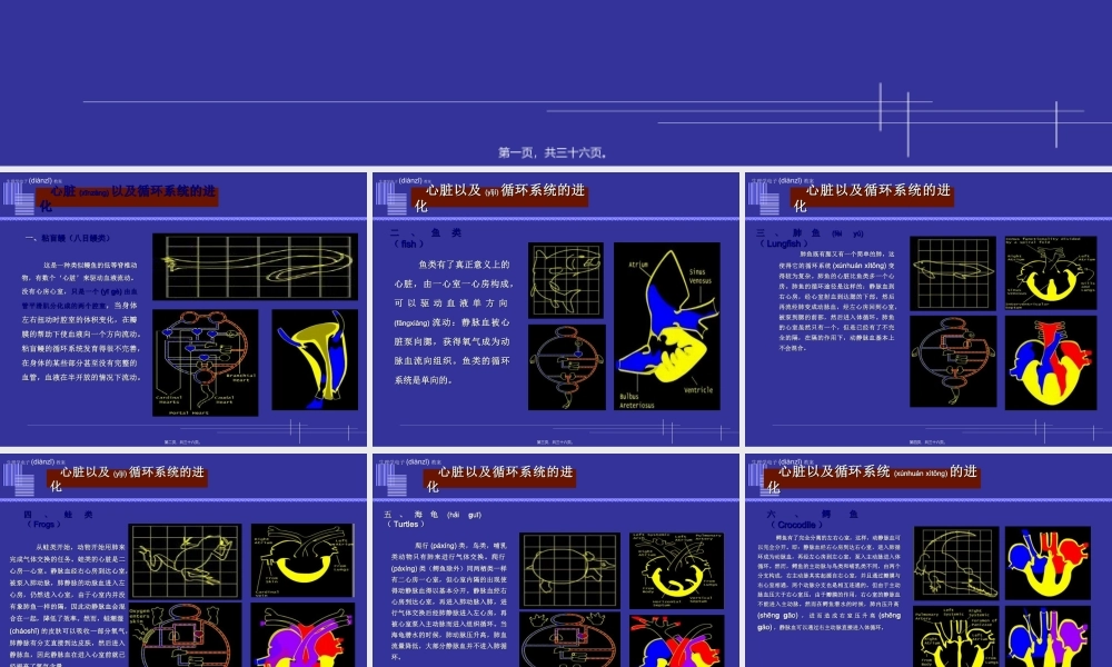 2022年医学专题—心脏以及循环系统的进化(1).ppt