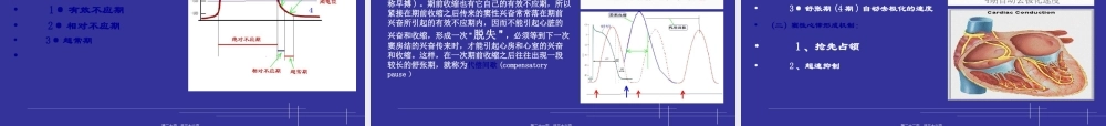 2022年医学专题—心脏以及循环系统的进化(1).ppt