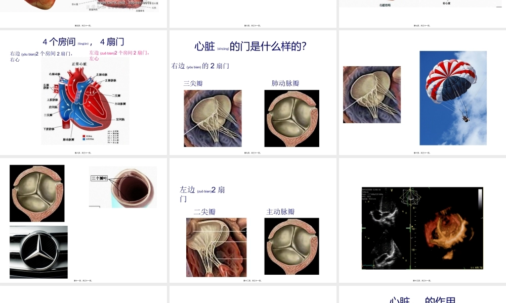 2022年医学专题—心脏科普(1).pptx