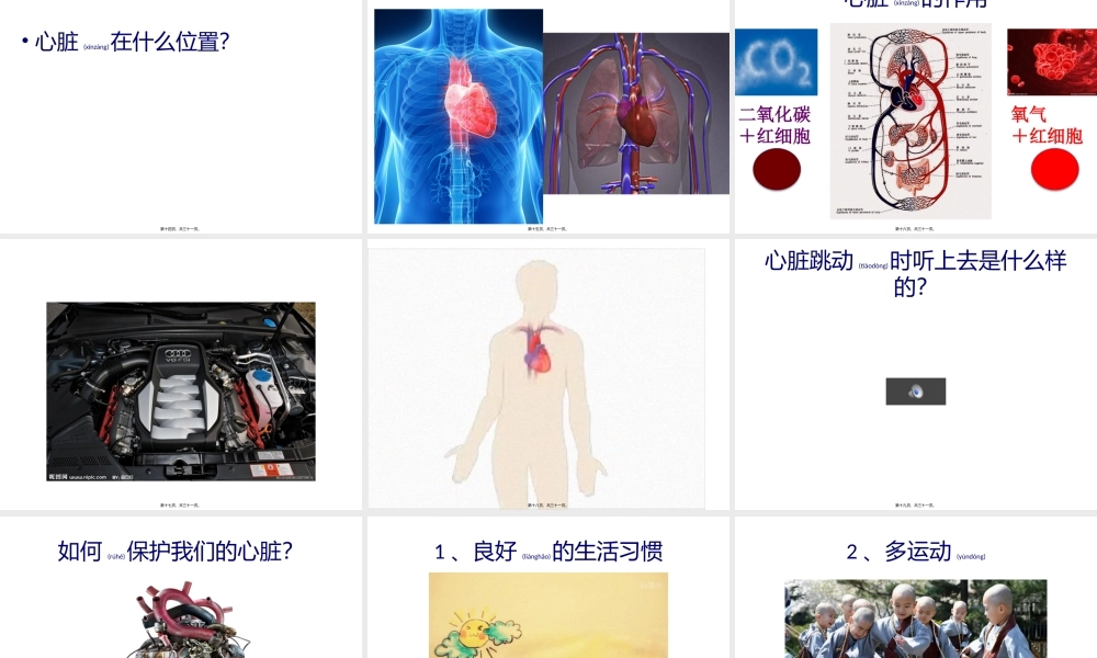 2022年医学专题—心脏科普(1).pptx