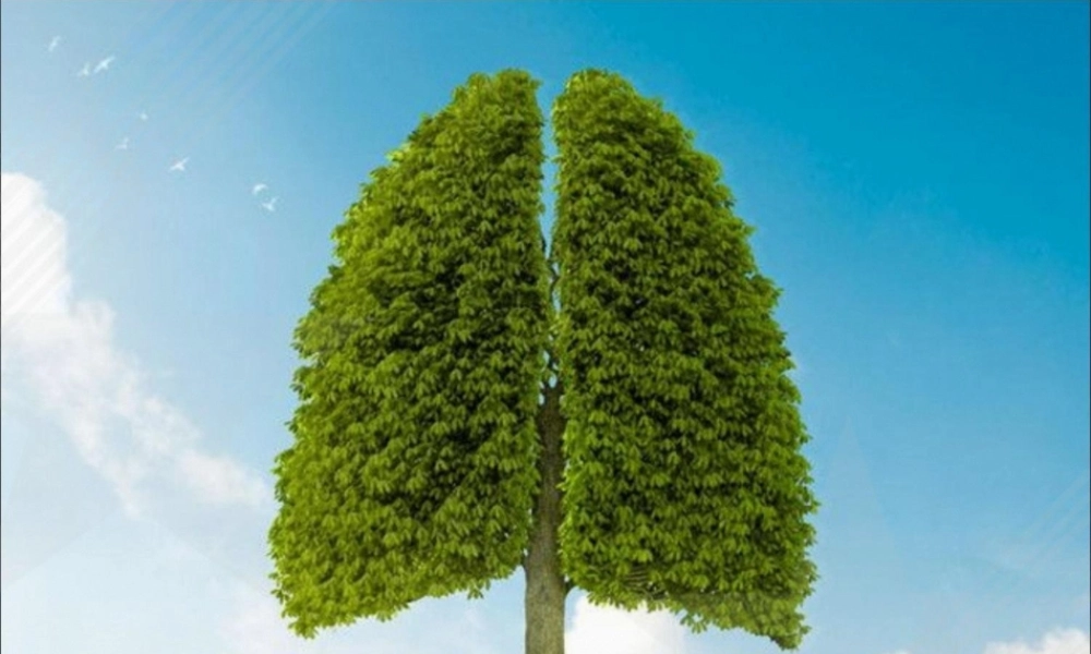 2022年医学专题—无创呼吸机介绍(1).ppt